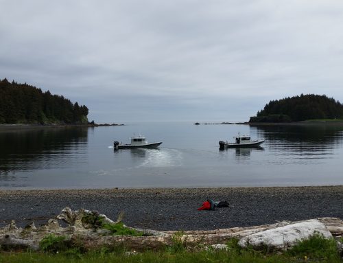 Alutiiq Museum Community Survey